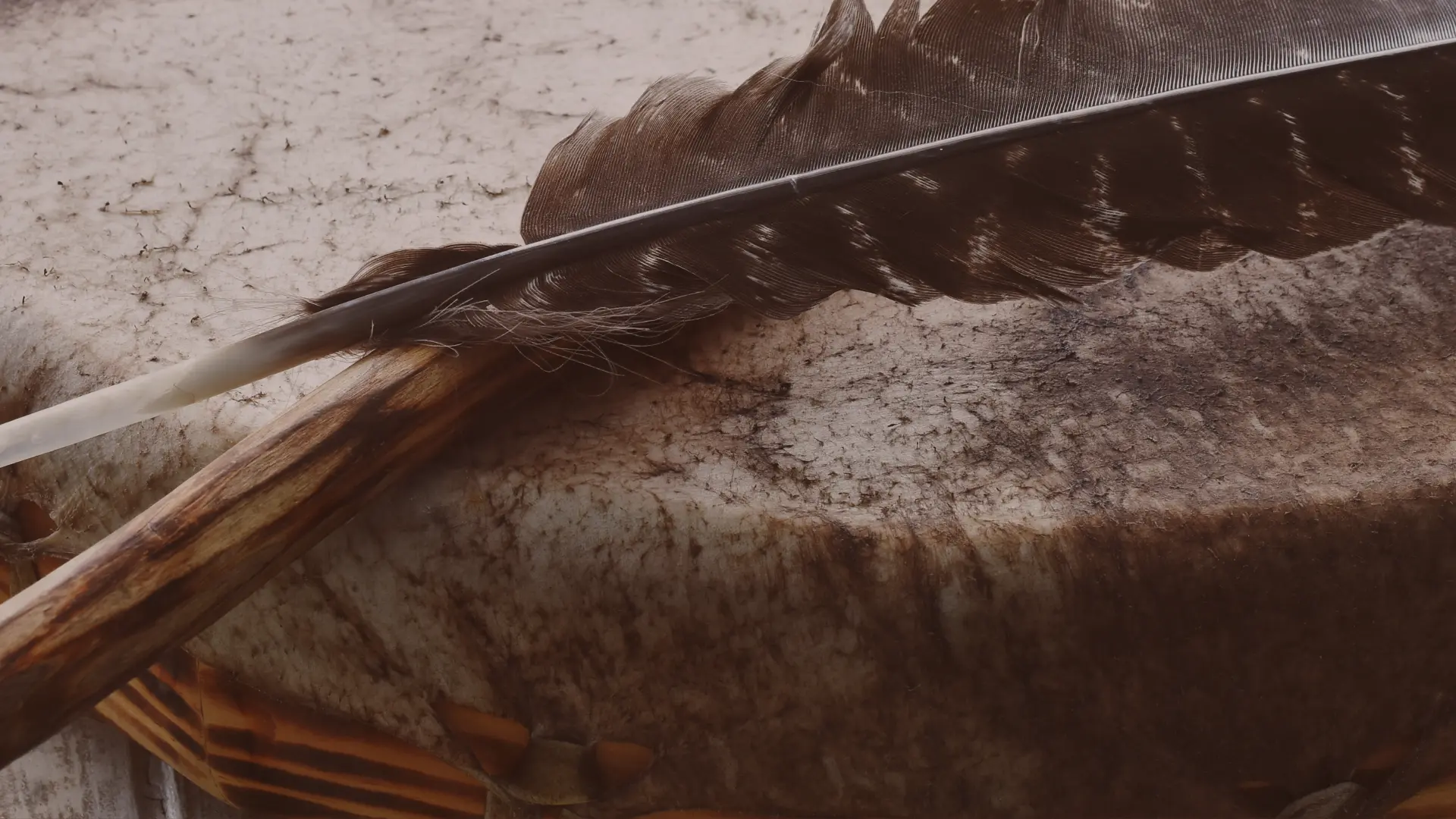 Pluma sobre la piel de un tambor